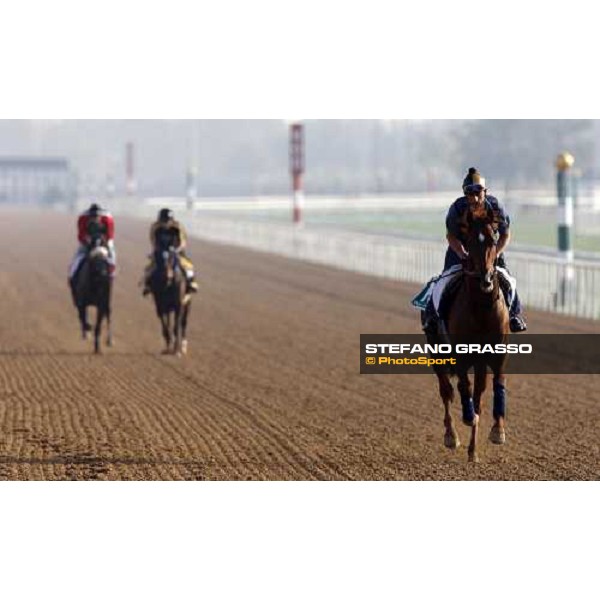 Doctor Dino during morning track works at Nad El Sheba racetrack Dubai, Nad El Sheba, 24th march 2008 ph. Stefano Grasso