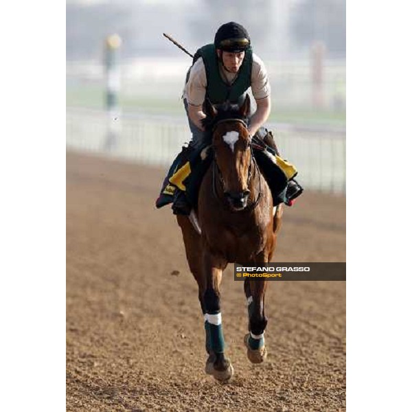 Darjina during morning track works at Nad El Sheba racetrack Dubai, Nad El Sheba, 24th march 2008 ph. Stefano Grasso