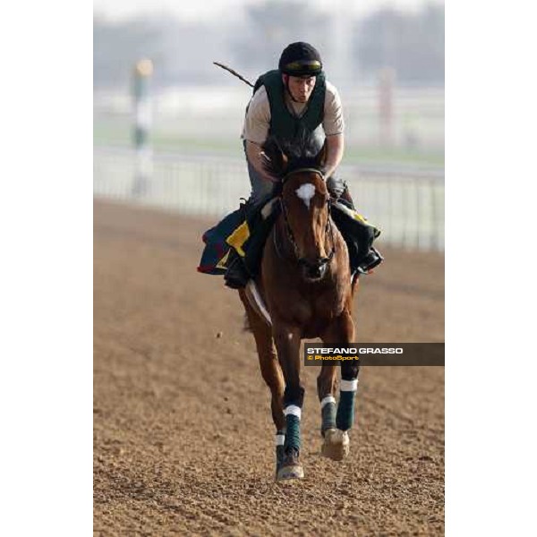 Darjina during morning track works at Nad El Sheba racetrack Dubai, Nad El Sheba, 24th march 2008 ph. Stefano Grasso