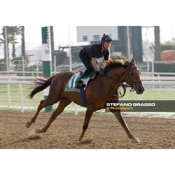 Quijano during morning track works at Nad El Sheba racetrack Dubai, Nad El Sheba, 24th march 2008 ph. Stefano Grasso