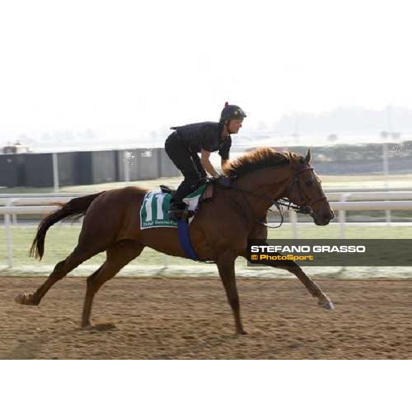 Quijano during morning track works at Nad El Sheba racetrack Dubai, Nad El Sheba, 24th march 2008 ph. Stefano Grasso