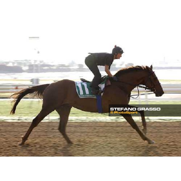 Quijano during morning track works at Nad El Sheba racetrack Dubai, Nad El Sheba, 24th march 2008 ph. Stefano Grasso