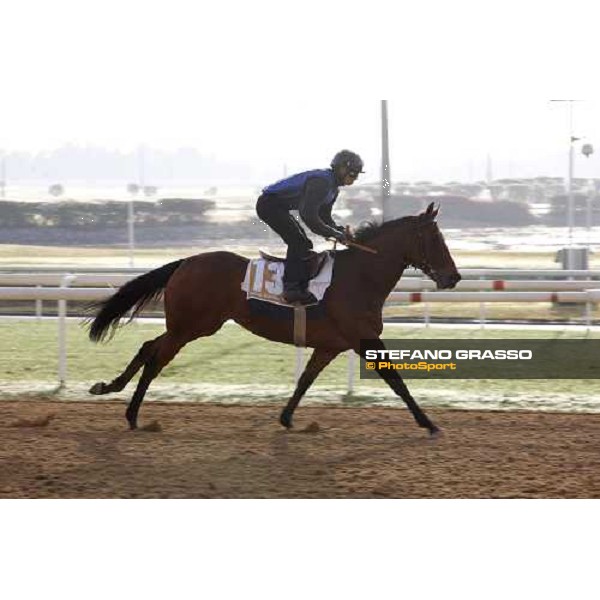 Sarissa during morning track works at Nad El Sheba racetrack Dubai, Nad El Sheba, 24th march 2008 ph. Stefano Grasso