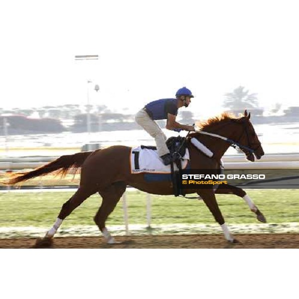 Curlin during morning track works at Nad El Sheba racetrack Dubai, Nad El Sheba, 24th march 2008 ph. Stefano Grasso