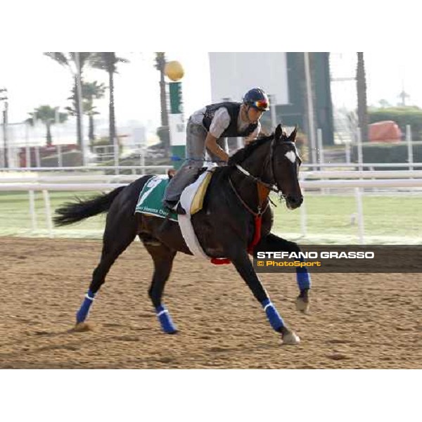 Latency during morning track works at Nad El Sheba racetrack Dubai, Nad El Sheba, 24th march 2008 ph. Stefano Grasso