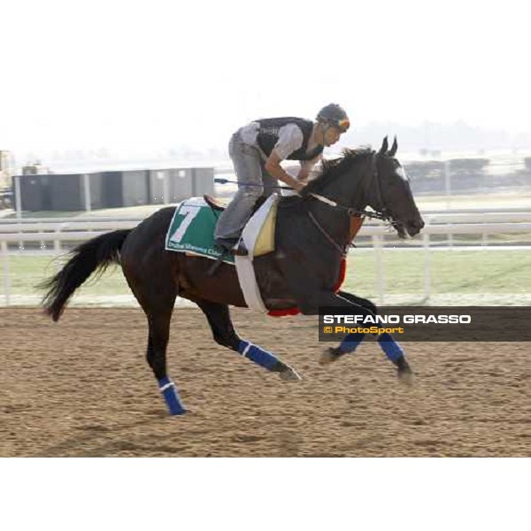Latency during morning track works at Nad El Sheba racetrack Dubai, Nad El Sheba, 24th march 2008 ph. Stefano Grasso