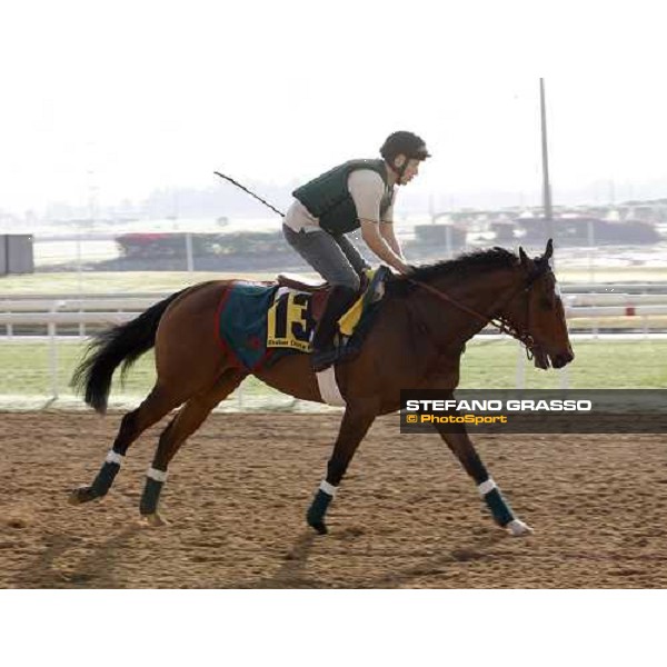 Darjina during morning track works at Nad El Sheba racetrack Dubai, Nad El Sheba, 24th march 2008 ph. Stefano Grasso