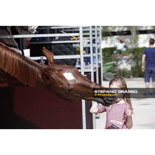 LGCT of Madrid - Behind the scenes - Hermes Ryan - 3 May 2018 - ph.Stefano Grasso/LGCT