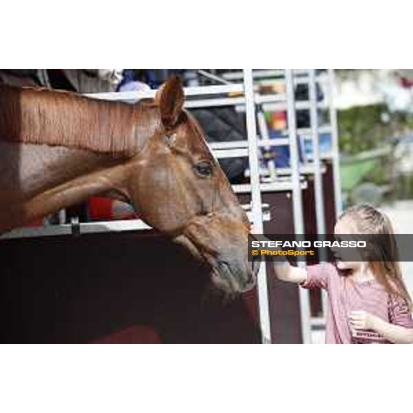 LGCT of Madrid - Behind the scenes - Hermes Ryan - 3 May 2018 - ph.Stefano Grasso/LGCT