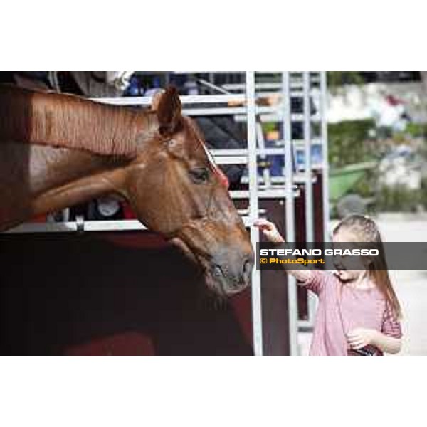 LGCT of Madrid - Behind the scenes - Hermes Ryan - 3 May 2018 - ph.Stefano Grasso/LGCT