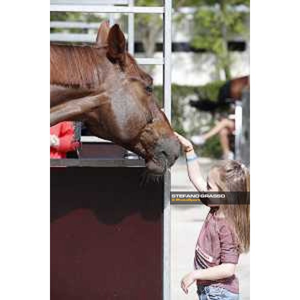 LGCT of Madrid - Behind the scenes - Hermes Ryan - 3 May 2018 - ph.Stefano Grasso/LGCT