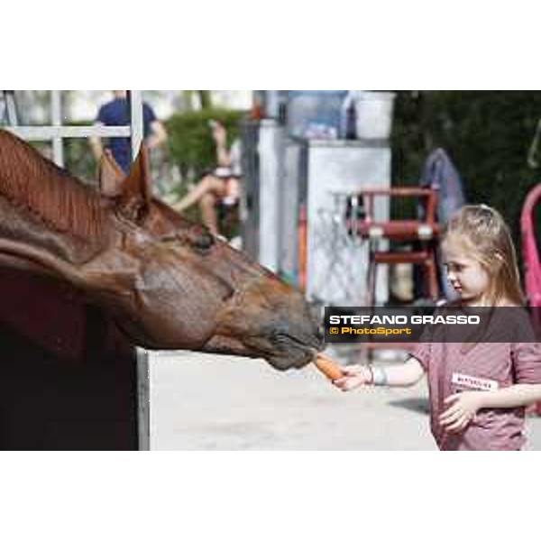 LGCT of Madrid - Behind the scenes - Hermes Ryan - 3 May 2018 - ph.Stefano Grasso/LGCT
