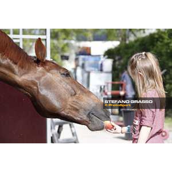 LGCT of Madrid - Behind the scenes - Hermes Ryan - 3 May 2018 - ph.Stefano Grasso/LGCT