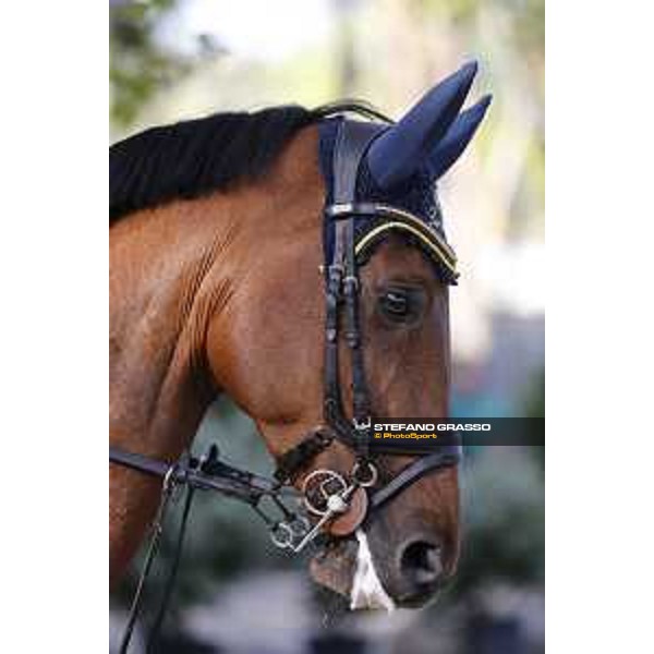 LGCT of Madrid - Behind the scenes - Portrait of California - 5 May 2018 - ph.Stefano Grasso/LGCT
