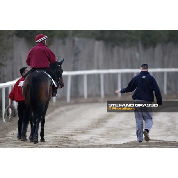 Viva Pataca comes back to the stable after morning track works at Nad El Sheba training track Nad El Sheba, 26th march 2008 ph. Stefano Grasso