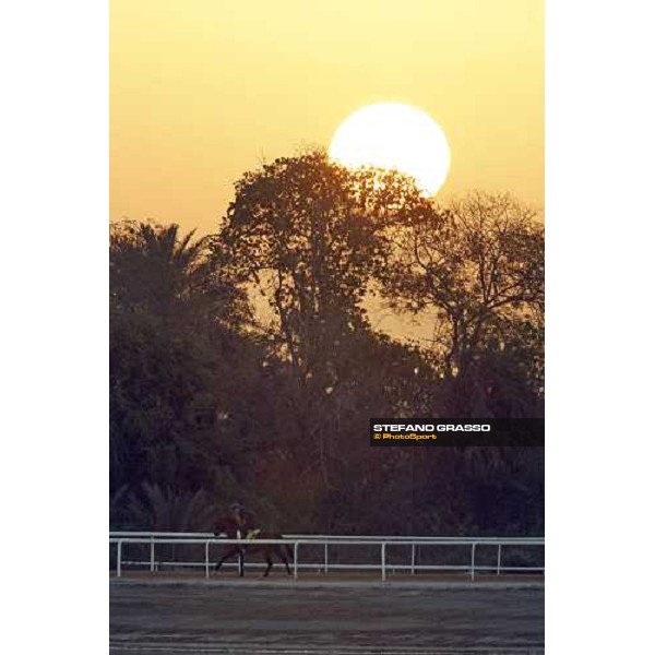 The Sun coming up at Nad El Sheba training track while a horse prepares for morning works Nad El Sheba, 26th march 2008 ph. Stefano Grasso