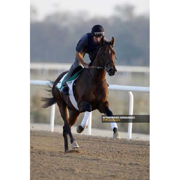 Mourilyan working at Nad El Sheba training track Nad El Sheba, 26th march 2008 ph. Stefano Grasso