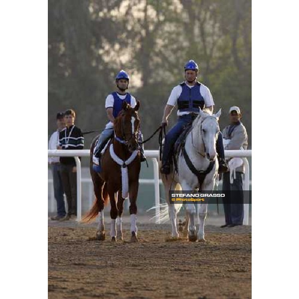 Curlin comes back after morning track works at Nad El Sheba training track Nad El Sheba, 26th march 2008 ph. Stefano Grasso