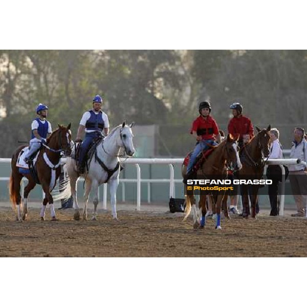 Curlin comes back to the stable after morning track works at Nad El Sheba training track Nad El Sheba, 26th march 2008 ph. Stefano Grasso