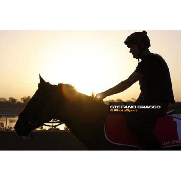 Strike the Deal walking after morning track works at Nad El Sheba training track Nad El Sheba, 26th march 2008 ph. Stefano Grasso