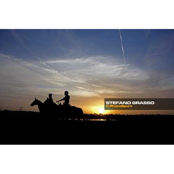 two horses prepare for morning track works at Nad El Sheba racetrack Dubai, Nad El Sheba 27th march 2008 ph. Stefano Grasso