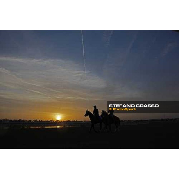 two horses working early in the morning at Nad El Sheba racetrack Dubai, Nad El Sheba 27th march 2008 ph. Stefano Grasso