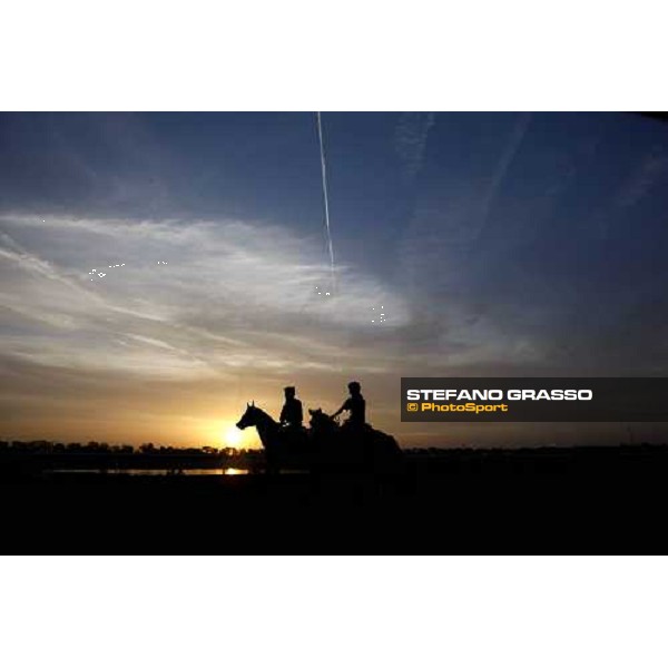 two horses working early in the morning at Nad El Sheba racetrack Dubai, Nad El Sheba 27th march 2008 ph. Stefano Grasso