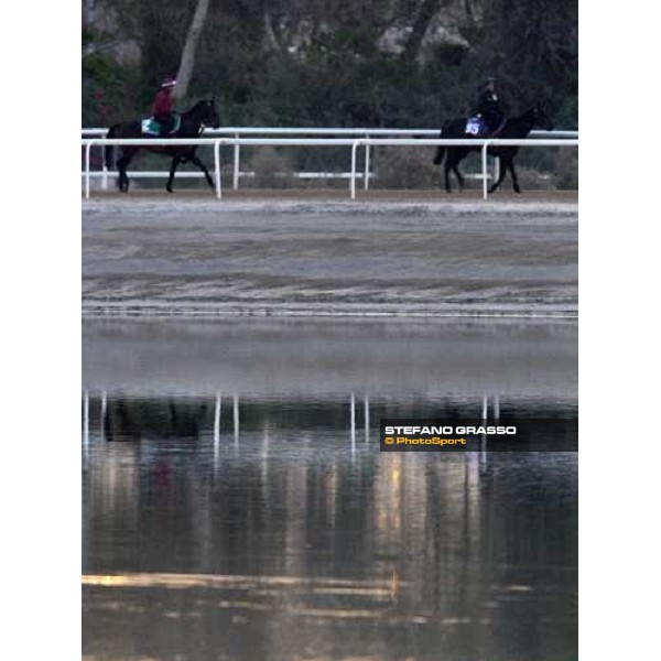 Viva Pataca comes back to the stable after morning track works at Nad El Sheba racetrack Dubai, Nad El Sheba 27th march 2008 ph. Stefano Grasso