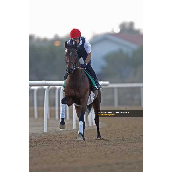 Mick Kinane on Mourilyan during morning track works at Nad El Sheba racetrack Dubai, Nad El Sheba 27th march 2008 ph. Stefano Grasso