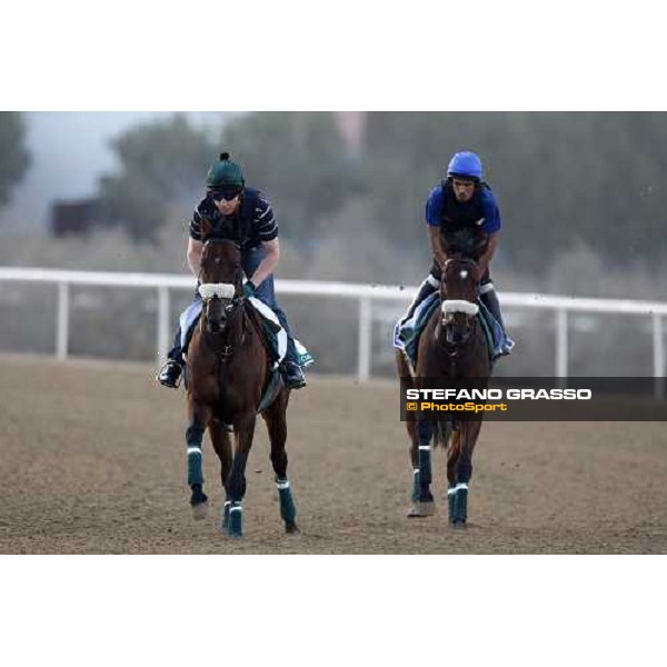 Dansant and Baharah during morning track works at Nad El Sheba racetrack Dubai, Nad El Sheba 27th march 2008 ph. Stefano Grasso