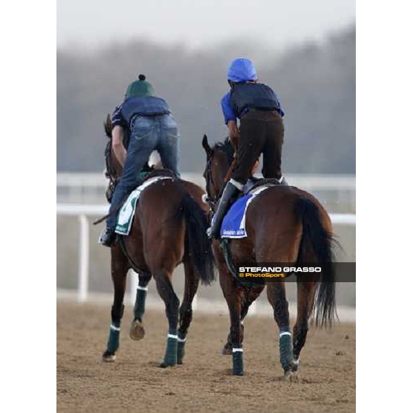 Dansant and Baharah during morning track works at Nad El Sheba racetrack Dubai, Nad El Sheba 27th march 2008 ph. Stefano Grasso