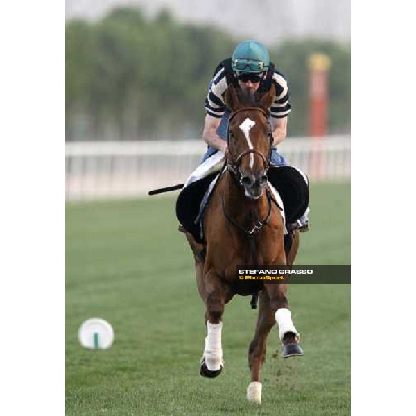 Finsceal Beo during morning track works at Nad El Sheba racetrack Dubai, Nad El Sheba 27th march 2008 ph. Stefano Grasso