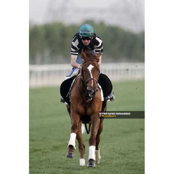 Finsceal Beo during morning track works at Nad El Sheba racetrack Dubai, Nad El Sheba 27th march 2008 ph. Stefano Grasso