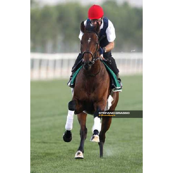 Mick Kinane on Mourilyan during morning track works at Nad El Sheba racetrack Dubai, Nad El Sheba 27th march 2008 ph. Stefano Grasso