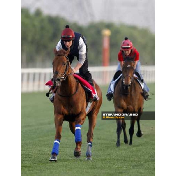 Strike the Deal and Gower Song during morning track works at Nad El Sheba racetrack Dubai, Nad El Sheba 27th march 2008 ph. Stefano Grasso