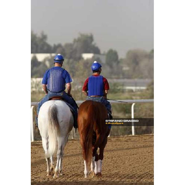 Curlin enters the track before morning track works at Nad El Sheba racetrack Dubai, Nad El Sheba 27th march 2008 ph. Stefano Grasso