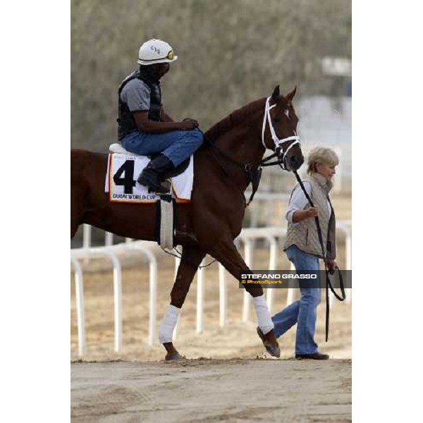 A P Arrow enters the track for morning track works at Nad El Sheba racetrack Dubai, Nad El Sheba 27th march 2008 ph. Stefano Grasso