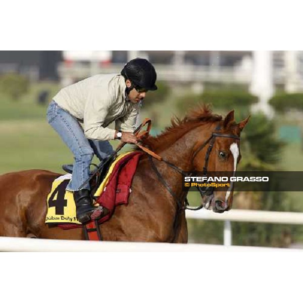 Darryll Holland working on Majestic Roi at Nad El Sheba racetrack Dubai, Nad El Sheba 27th march 2008 ph. Stefano Grasso
