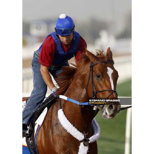 a close up for Curlin and his rider coming back to the stable after morning track works at Nad El Sheba racetrack Dubai, Nad El Sheba 27th march 2008 ph. Stefano Grasso