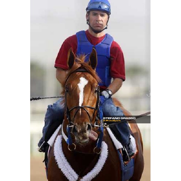 Curlin comes back to the stable after morning track works at Nad El Sheba racetrack Dubai, Nad El Sheba 27th march 2008 ph. Stefano Grasso