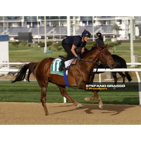 Quijano during morning track works at Nad El Sheba racetrack Dubai, Nad El Sheba 27th march 2008 ph. Stefano Grasso