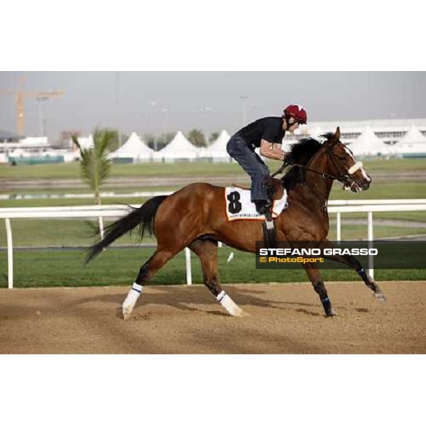Well Armed during morning track works at Nad El Sheba racetrack Dubai, Nad El Sheba 27th march 2008 ph. Stefano Grasso