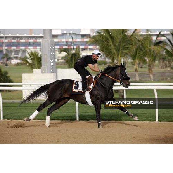 Great Hunter during morning track works at Nad El Sheba racetrack Dubai, Nad El Sheba 27th march 2008 ph. Stefano Grasso