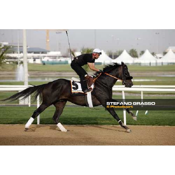 Great Hunter during morning track works at Nad El Sheba racetrack Dubai, Nad El Sheba 27th march 2008 ph. Stefano Grasso