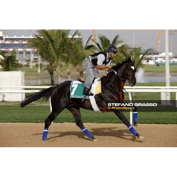 Latecy during morning track works at Nad El Sheba racetrack Dubai, Nad El Sheba 27th march 2008 ph. Stefano Grasso