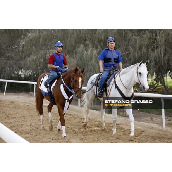 Curlin comes back to the stable after morning track works at Nad El Sheba racetrack Dubai, Nad El Sheba 27th march 2008 ph. Stefano Grasso