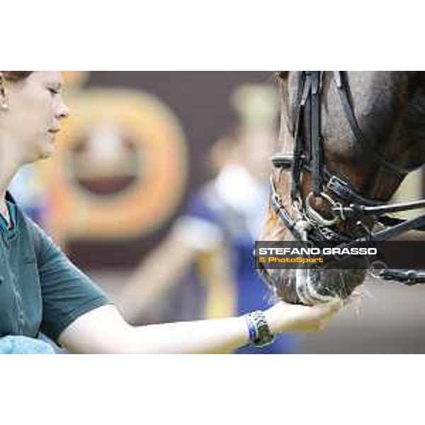 LGCT of Hamburg - Class 1 - Karel Cox (BEL) on Evert - 10 May 2018 - ph.Stefano Grasso/LGCT