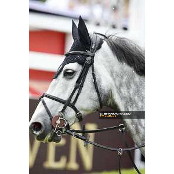 LGCT of Hamburg - Class 1 - H&M Harley v. Bisschop portrait - 10 May 2018 - ph.Stefano Grasso/LGCT
