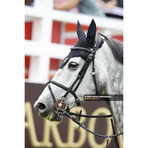 LGCT of Hamburg - Class 1 - H&M Harley v. Bisschop portrait - 10 May 2018 - ph.Stefano Grasso/LGCT