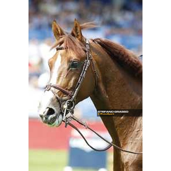 LGCT of Hamburg - Class 1 - Julien Epaillard (FRA) on Virtuose Champeix - 10 May 2018 - ph.Stefano Grasso/LGCT